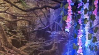 letizia_fulkers anal 2