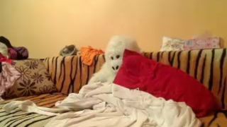 Biggerboobshere webcam recording 2014 October 18_09-53-46