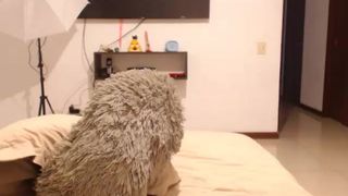 marceguzman_ lush pussy boob flash