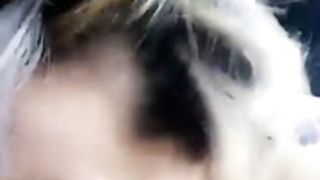 vikingbarbie sucks cock in a car 11.06.17