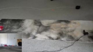 Vivid_whit 2021-06-04