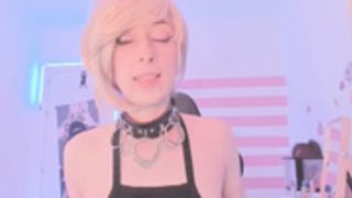 Pitykitty  2021 06 10