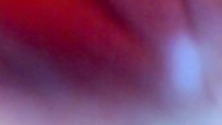 Picaaachu 2021-06-09