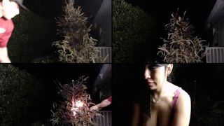 Gaygirl0009 cam recording 2016-12-29 055548