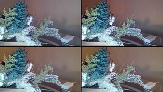 Wholelottaloveee cam recording 2016-12-31 030917
