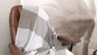 Sweetums_ doggy (upscaled)