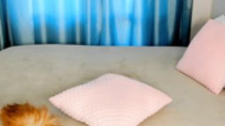 littlething88 kinky babe buttplug and pussy fuck