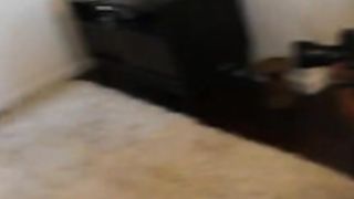 lauren compton playmate