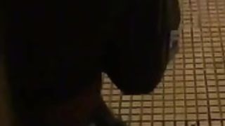 Pendejas en la calle