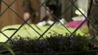 pilar ruiz folla con y es descubierta