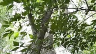 V3ro19n1ka_2021-06-24_bc (1)