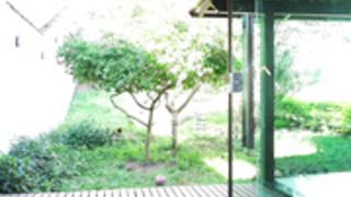 |o0||yp0p24 2020-06-14_11-45-20_14901