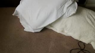 Kimchiii Legging Cumshow 11 06 15