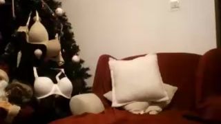 Teddyfleece 2017_01_12