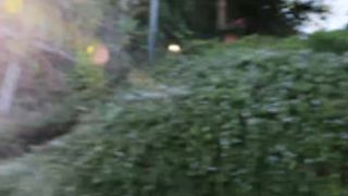 PrincessBerpl: Harry Potter Monster Impregnation