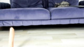 amalianilsson 2021-01-23 1645