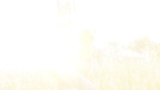 Milla - 2019.08.09 - Hot Sunset