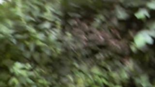 Corrida facial en el parque