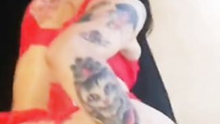 Trinicat tirando en cuatro