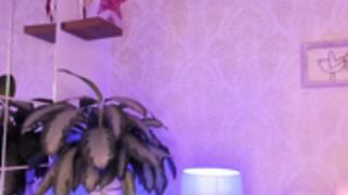 letizia_fulkers 15/07/21