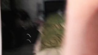 Sebilone bj and fucking with cumshot