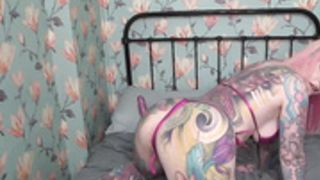 Streamate - Cams - PiggyMouthBabestation