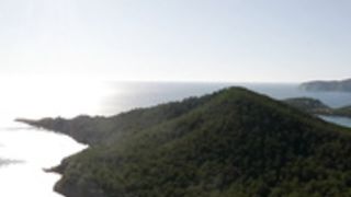 Vixen Caprice Emily Willis Apolonia Lapiedra