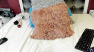 Colombian Sammyboyer 07192021