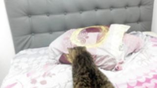 l0r3_1itt3n_2021-07-23_08-06-32 (2)