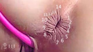 Whore Discovery Channel: Bear Glans explores Cracks