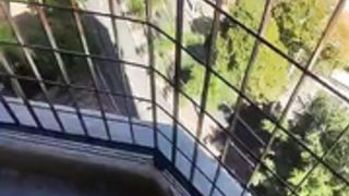 N4thF0x_2021-07-26_15-57-47_686 (1)