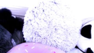 those darn frigs 24hr