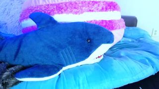 those_darn_frigs recording