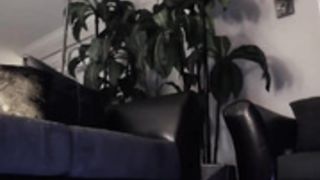 creamyexotica 05102019