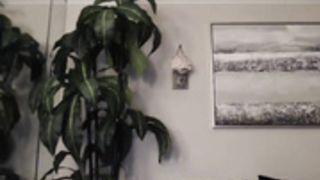 creamyexotica 05102019