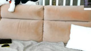 Coy_Amina in backless shorts without panties on Day 126