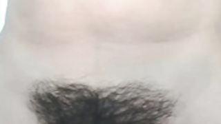 Girasol_walton peluda divirtiendose