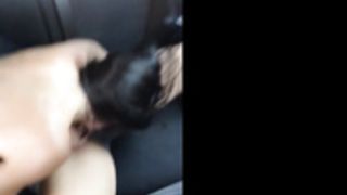 sextoo and danika slutty in car