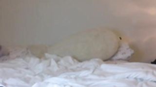 Unkown Big Titty Camgril