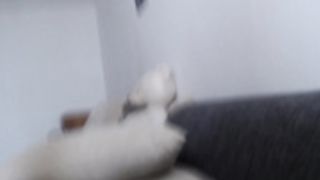 $3cR3tG0DD3$$0 2019-04-02 0253 102