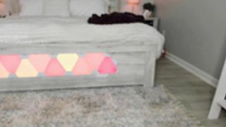 kayribbons 2021-08-13 3/4