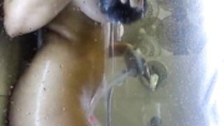 PrettieKate shower show 3