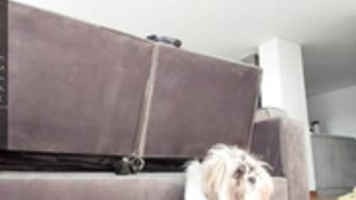 aliciawonder_ 23/07/2021