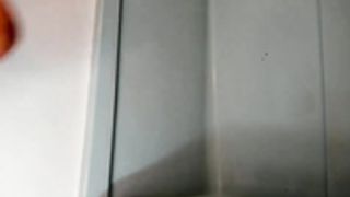 19honeysuckle 10/08/2021