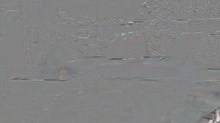 Brina full webcam recording