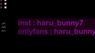 harubunny