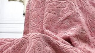 Pauline Tantot pussy