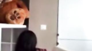 Habibi’s bitch 3