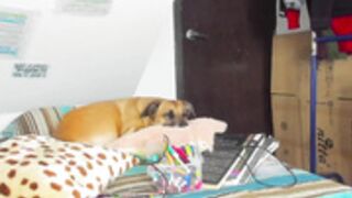 C4_anoia_aiona_August-23-2021_02-57-15