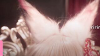 The Lustful Fox Is About To Be Fucked!